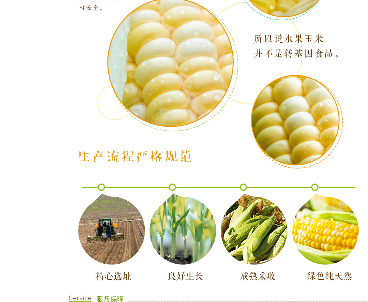 ecshop模板中部