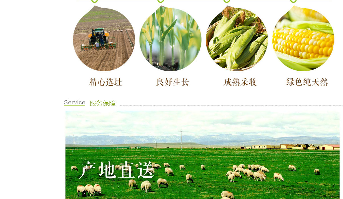 ecshop模板中部