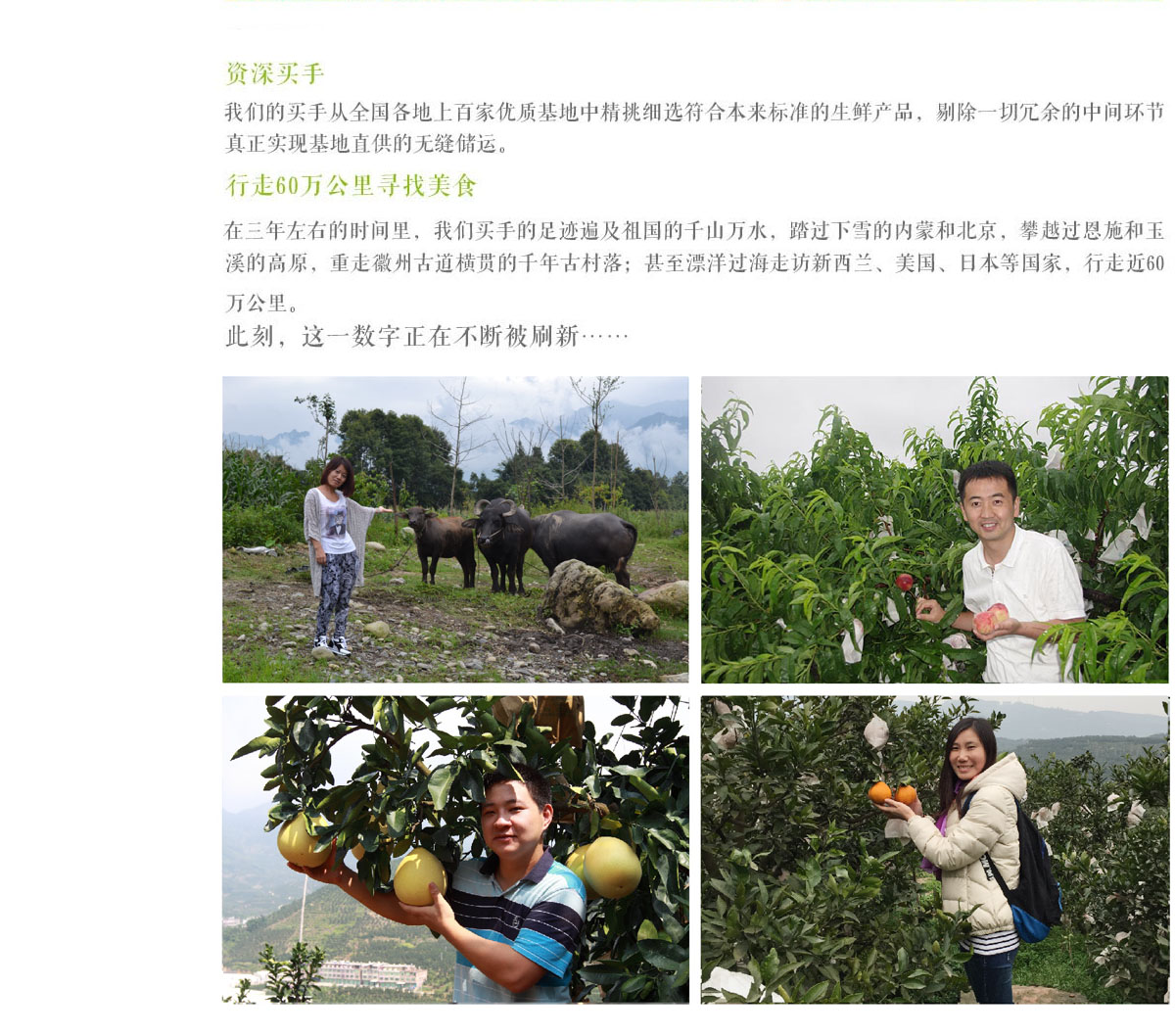 ecshop模板中部